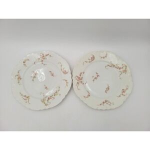2 Antique Haviland Limoges 8.5 Salad Plates 233 Norma Pink Yellow Flowers AS-IS